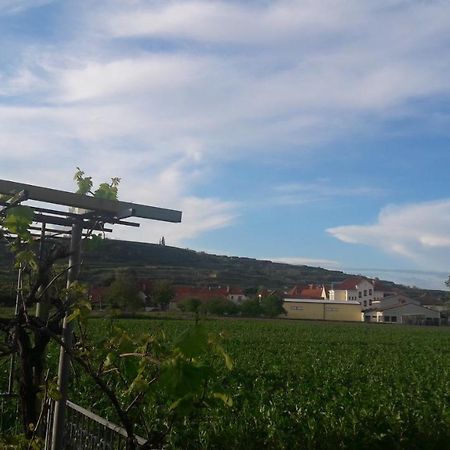 דירות Rohrendorf bei Krems Pansion Brda מראה חיצוני תמונה