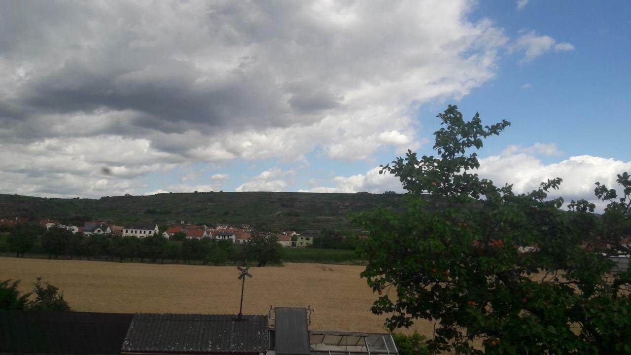 דירות Rohrendorf bei Krems Pansion Brda מראה חיצוני תמונה