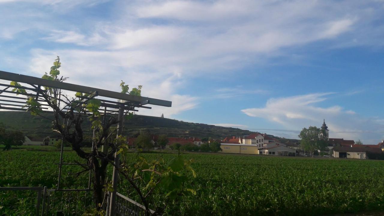 דירות Rohrendorf bei Krems Pansion Brda מראה חיצוני תמונה